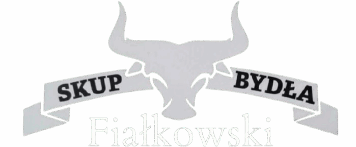 cropped b6ff8e14 8ce1 425d 8a0a 55778f19bcfd 1.png